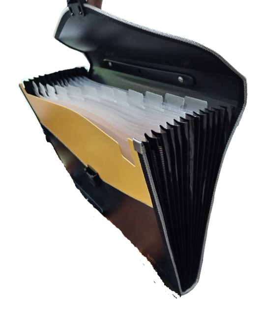 Expanding File with 12 Pockets and Handle