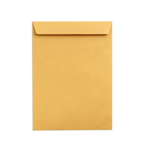 ENVELOPE BROWN