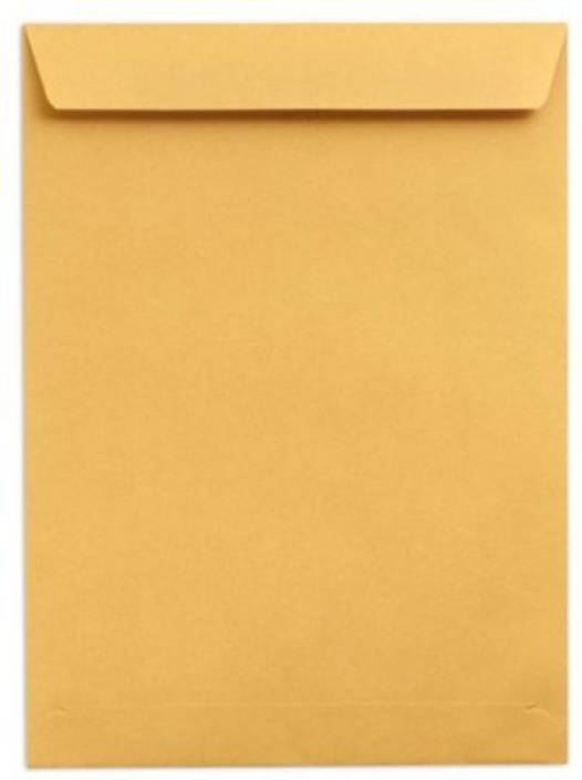ENVELOPE BROWN