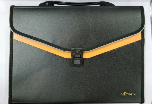 BILI DOCUMENT HOLDER (13 POCKETS)